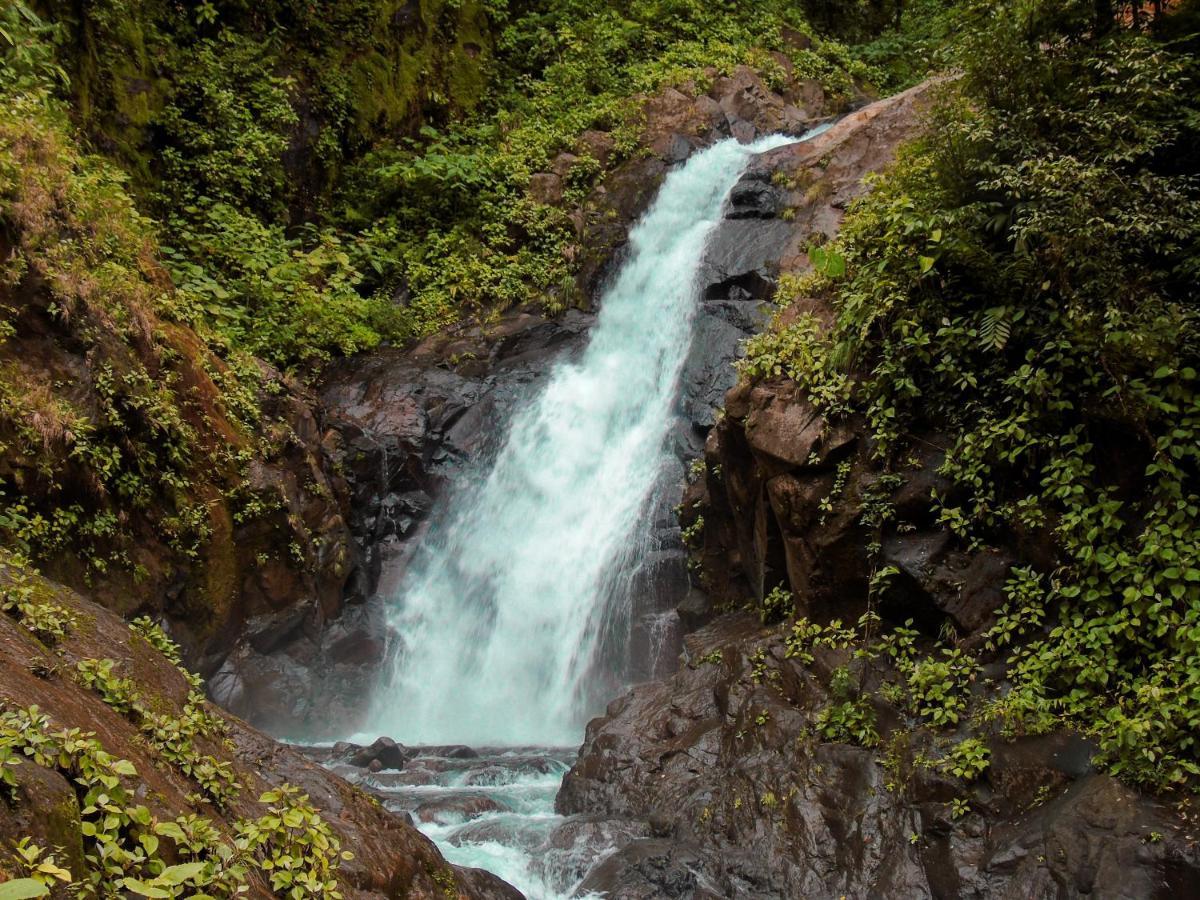 Cataratas Bijagua Lodge, Incluye Tour Autoguiado Bijagua Waterfalls Hike Exteriör bild