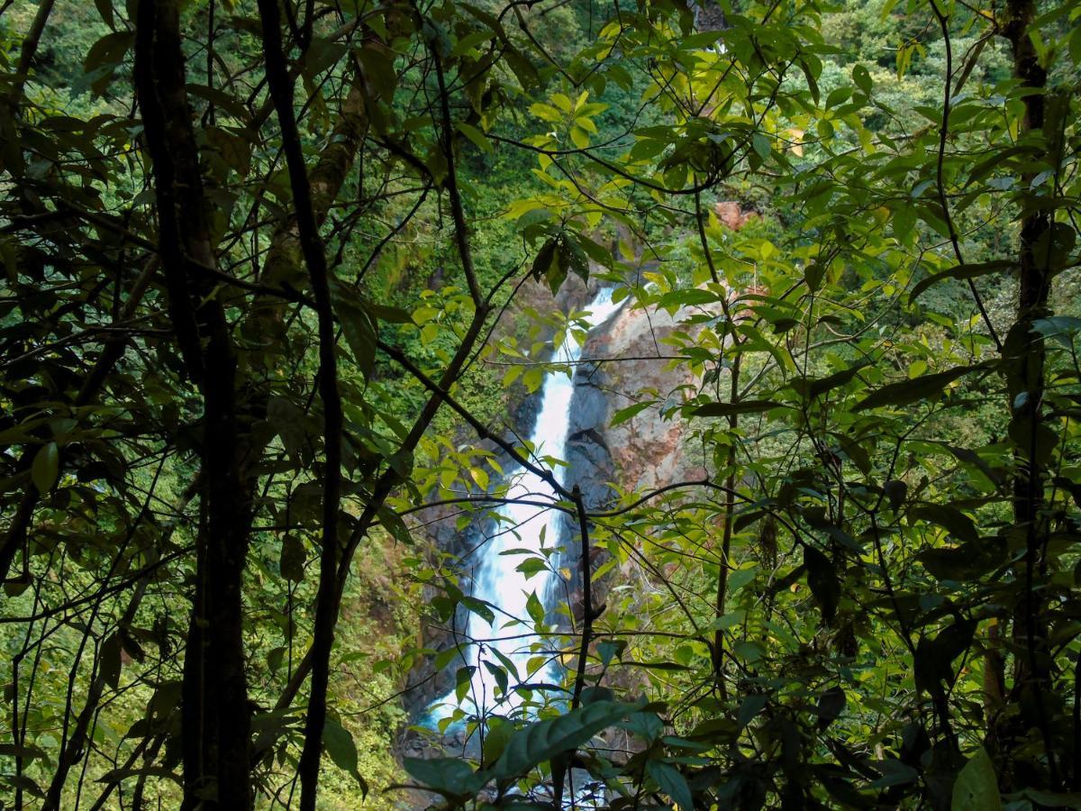 Cataratas Bijagua Lodge, Incluye Tour Autoguiado Bijagua Waterfalls Hike Exteriör bild