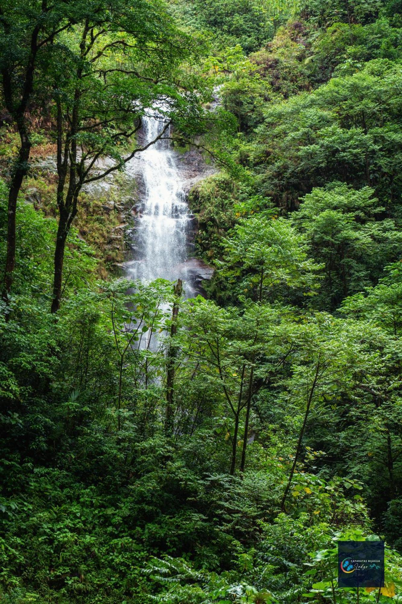 Cataratas Bijagua Lodge, Incluye Tour Autoguiado Bijagua Waterfalls Hike Exteriör bild